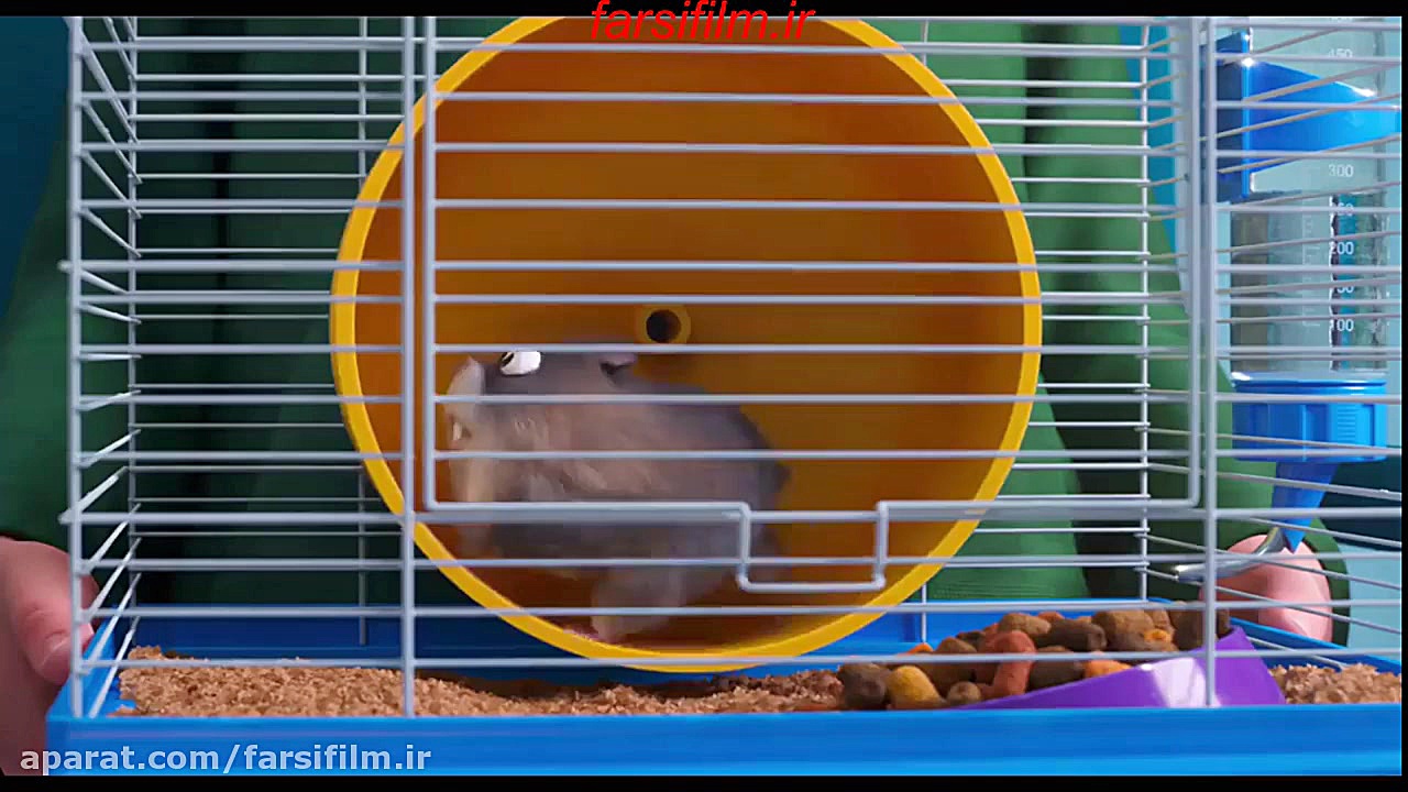 دانلود انیمیشن دو سگ و یک روز The Secret Life of Pets 2016 زمان167ثانیه