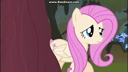 رینبودش و فلاتر شای