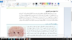 خطوط میدان الکتریکی