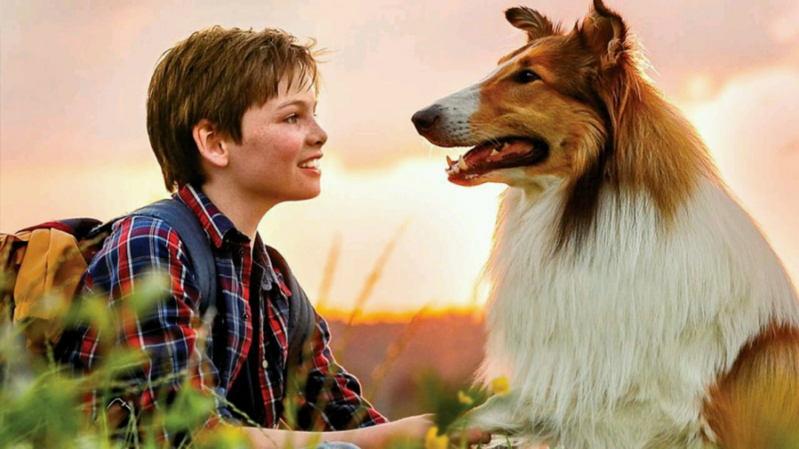فیلم لسی بیا خونه Lassie Come Home ۲۰۲۰ دوبله فارسی زمان5562ثانیه