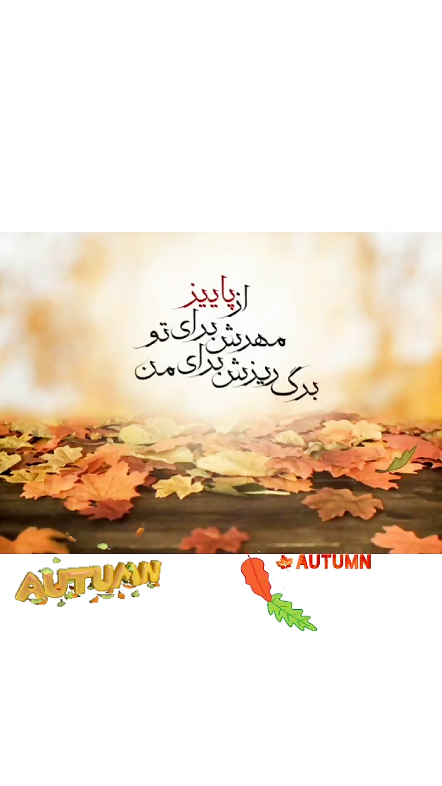 پاییز،نیمه پاییز