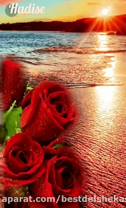 بهترین اهنگ که همه دوست دارن