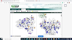 آنالیز جهش های کرونا ویروس ایر...