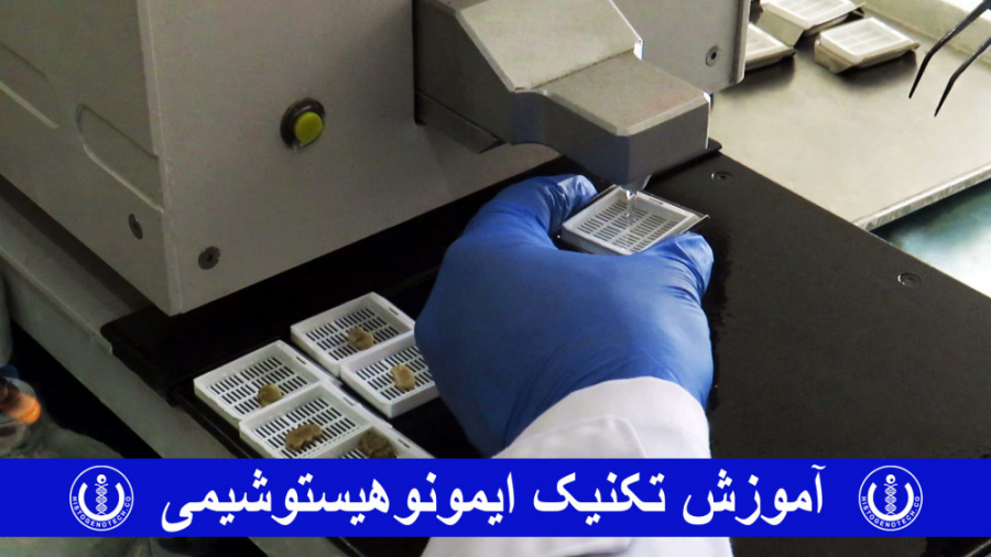 آموزش تکنیک ایمونوهیستوشیمی - هیستوژنوتك RF Test