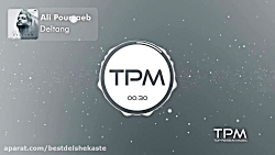 علی پورصائب  دلتنگ