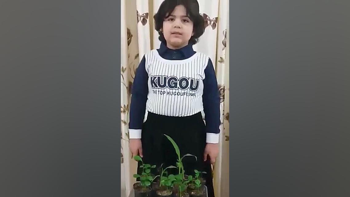 پرورش نهال توسط کودک همیارمحیط زیست جراحی فک