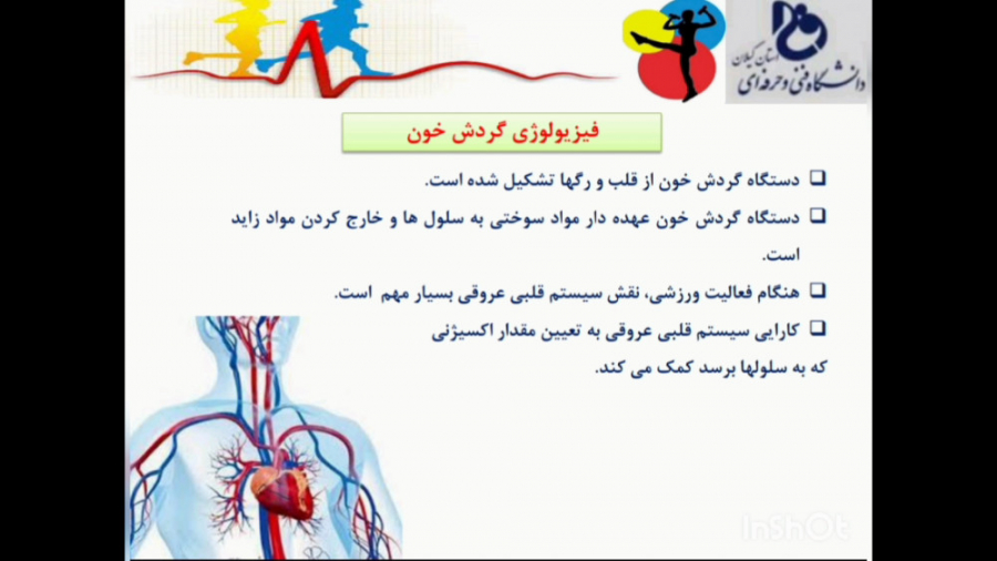 تربیت بدنی عمومی