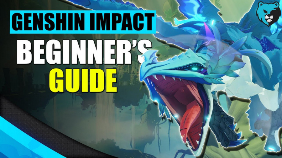 genshin impact | بهترین روش فارم و اطلاعات برای بازی کنان جدید