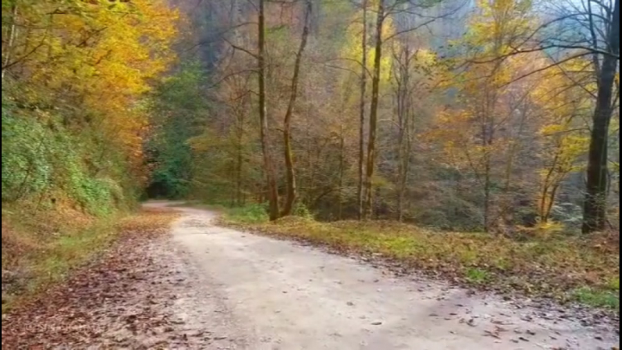 پوستر کوچک