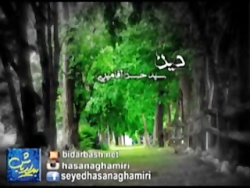 دین  آقامیری سید حسن آقامیری