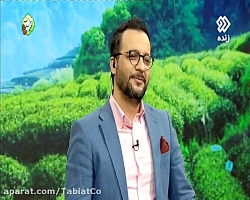 بیست و یکمین قرعه کشی بزرگ چای طبیعت