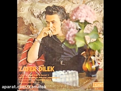 Zafer Dilek - Fidayda