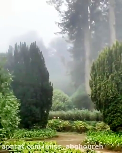 کلیپ زیبا / آهنگ جدید