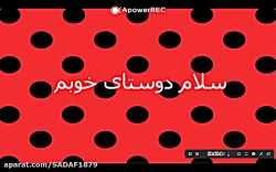 میراکلس لیدی باگ نیویورک ((کپش...