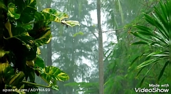 کلیپ مادر. دکلمه زیبای مادر کل...