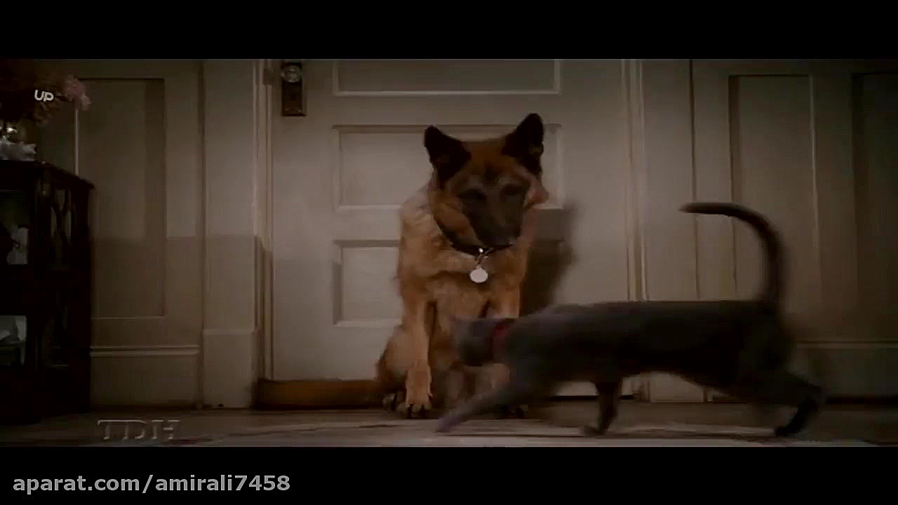 انیمیشن گربه ها و سگها 2 cats and dogs با دوبله فارسی زمان4418ثانیه