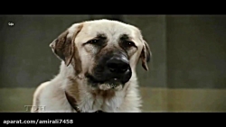 انیمیشن گربه ها و سگها 2 cats and dogs با دوبله فارسی