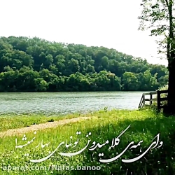 کلیپ کامل آهنگ شاخه گل من نیوم...