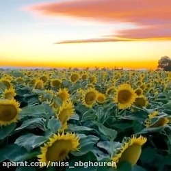 آهنگ زیبا  اهنگ جدید  آرامش بخ...