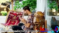 کلیپ خنده دار |کلیپ جدید| کلیپ...