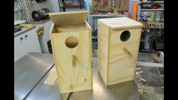 آموزش ساخت خانه برای طوطی ها