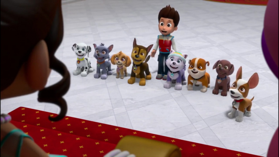 انیمیشن سگ های نگهبان جت برای نجات دوبله فارسی Paw Patrol Jet to the Rescue 2020 زمان2640ثانیه