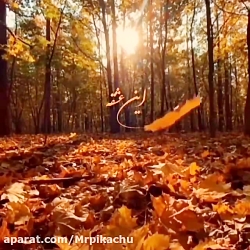 اهنگ حال دلم با تو خوشه | عاشق...