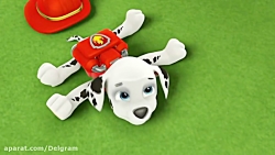 انیمیشن سگ های نگهبان | سگهای...