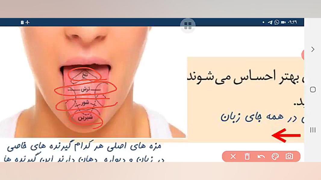 فصل۵ هشتم صفحه ۳۹ و۴۰ حس چشایی و لامسه اردک بلوتوثی
