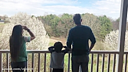 یک سال تحویل بسته پستی با پهپا...