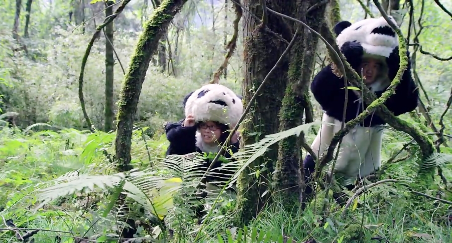 تریلر مستند Pandas : The Journey Home 2014 زمان82ثانیه