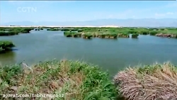 دشتی کویری که احیا شد!