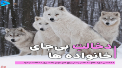 دخالت والدین در زندگی فرزندان