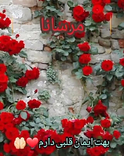 کلیپ اسمی مرسانا