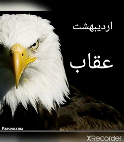 حیوان هر ماه