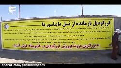 مزرعه گردشگری کروکودیل،ایده نا...
