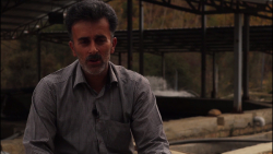 فیلم | رونق تولید ماهی قزل آلا...