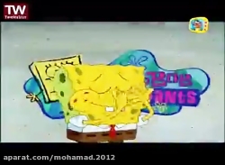 باب اسفنجی وحشت در فروشگاه اسب...