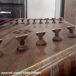 سنتور نواری زیبا(دنبال =دنبال)