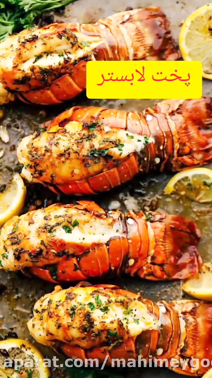 طرز پخت لابستر (شاه میگو لذیذ)