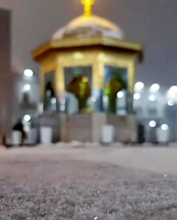 اولین برف پاییزی در حرم امام رضا (ع)