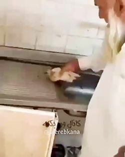 فیلم برای استوری واتساپ یا این...