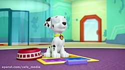 انیمیشن سگهای نگهبان | سگهای ن...