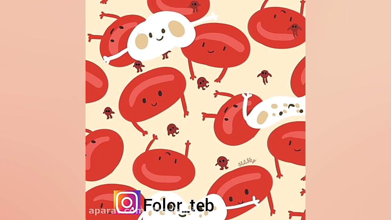 کم خونی فقر آهن سیده سارا موسوی عربانی