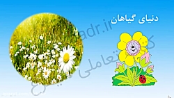 دنیای گیاهان علوم کلاس اول