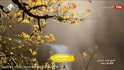 آهنگ میثم ابراهیمی (عاشقت شدم)