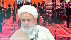 چراحضرت زهرا س به تنهایی واردب...