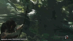 تام رایدر 2020