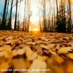 آهنگ عاشقانه پاییزی  آهنگ عاشق...