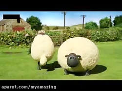 انیمیشن گوسفند زبل جدید | گوسفند زبل جدید | دانلود گوسفند زبل جدید